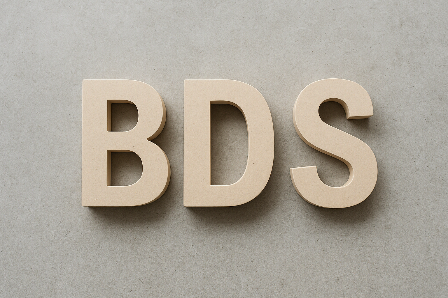 BDS dimensional letters showing depth and construction